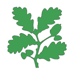 The National Trust